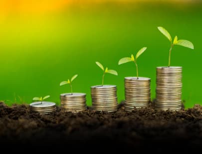 Nachhaltig investieren: Fokus auf ökologische und soziale Werte in Anlagen.