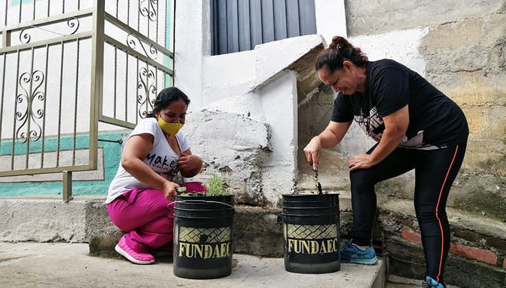 Urban Gardening fördert die Gemeinschaft unter Nachbarn.